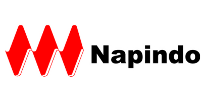 napindo logo